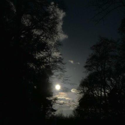 Man sieht mittig die Sonne zwischen Wald und dunklen Wolken in Abendstimme